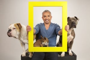 HITN-TV's partners include NatGeo