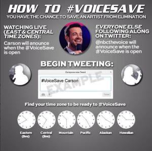 TheVoiceSave