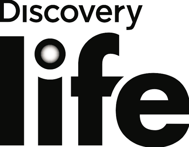 discovery logo