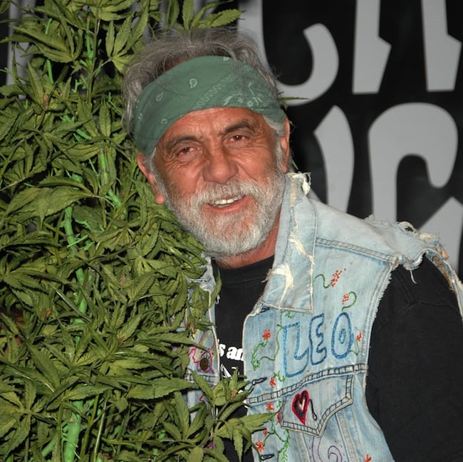 tommy chong