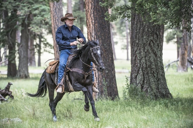 longmire
