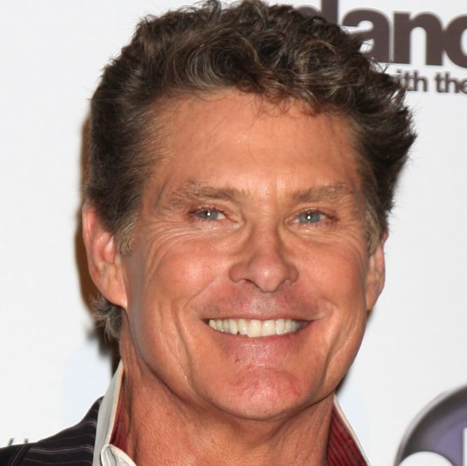 david hasselhoff 2