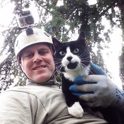 treetop cat rescue