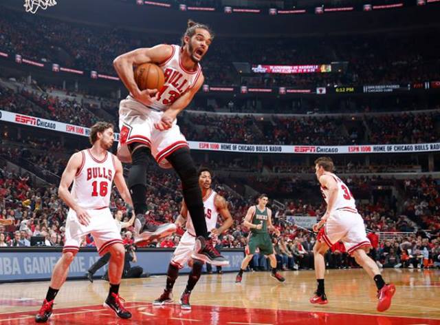 bulls
