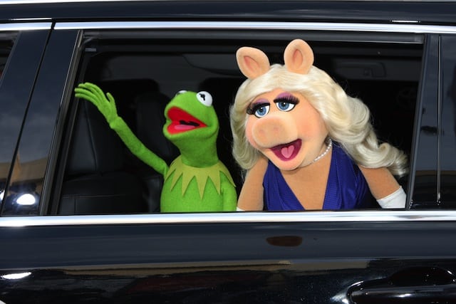 the muppets