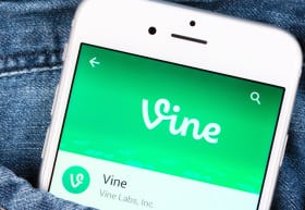 Vine