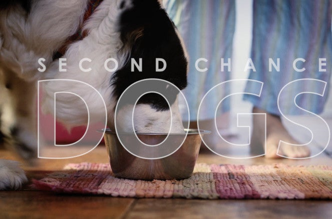 Second Chance Dogs