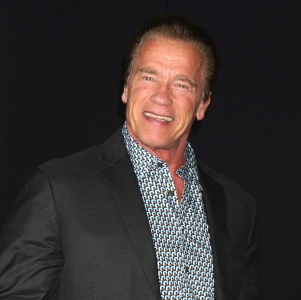 arnold schwarzenegger 2
