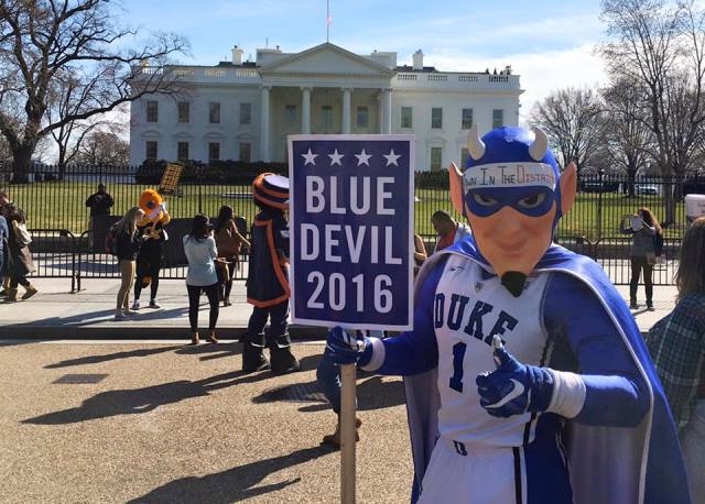 bluedevil