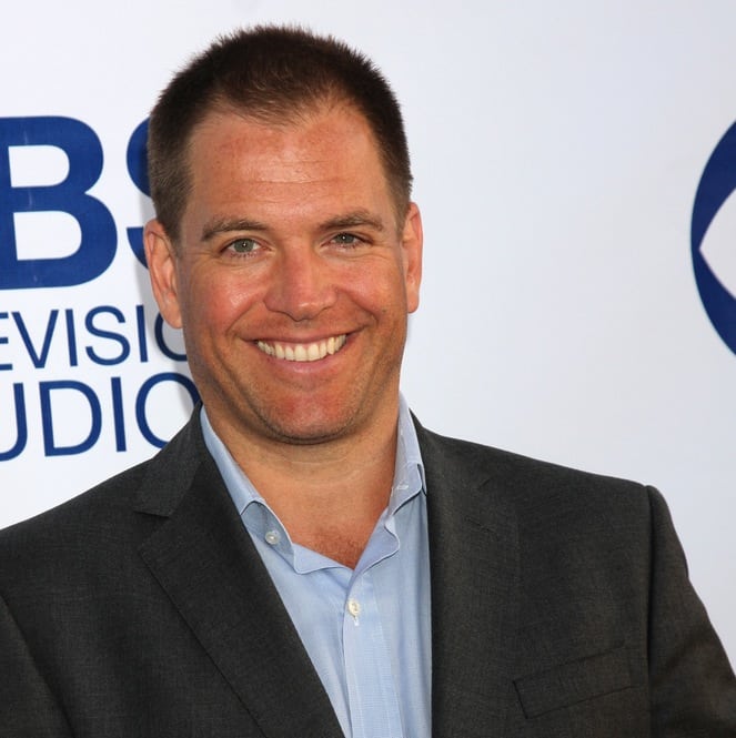 michael weatherly 2