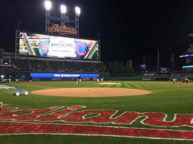 cubsseries