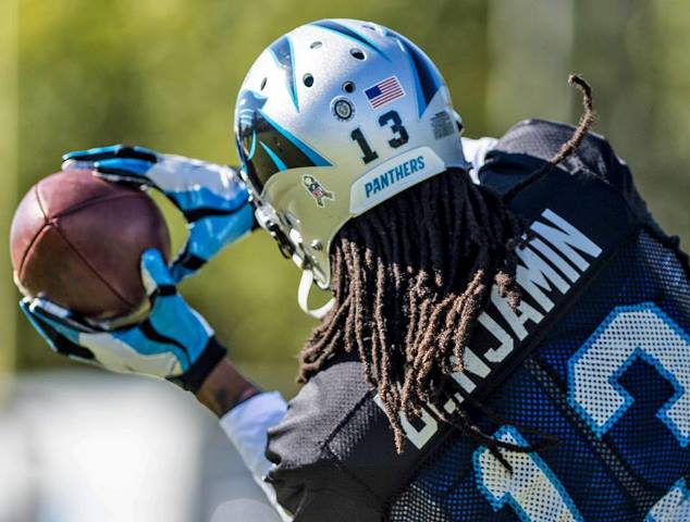 panthers