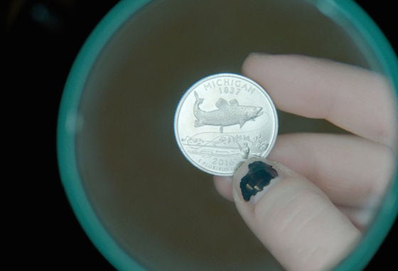 Coin Heist