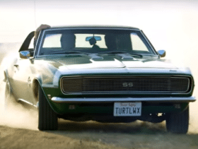turtlewax