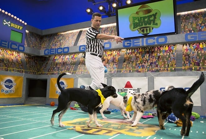 Puppy Bowl