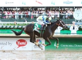 derby