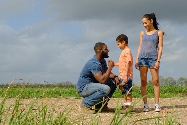 queen sugar
