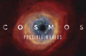 cosmos