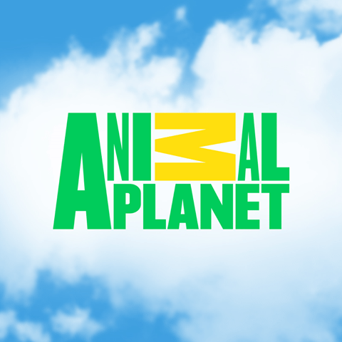 animal  planet