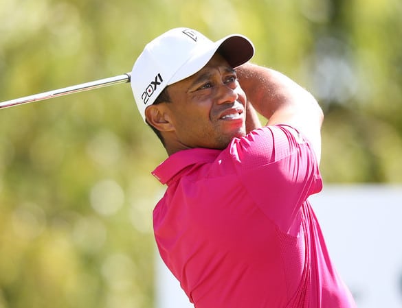 tiger woods