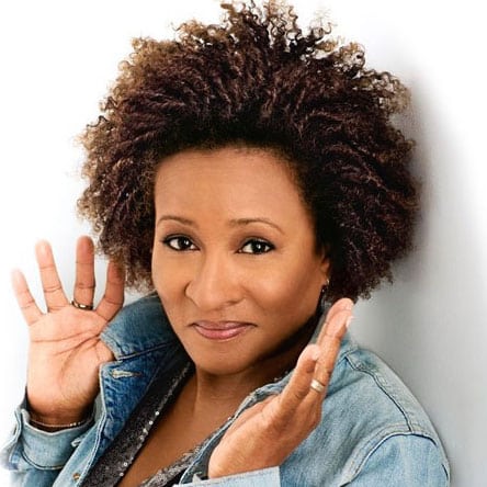wanda sykes
