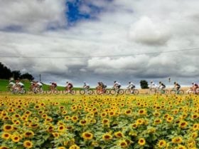 tour de france