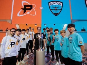 owl teams