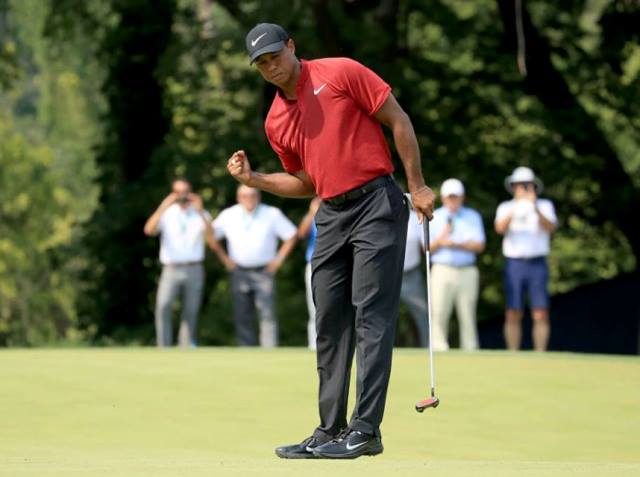tigerpga