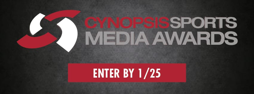 33806-ad-banners-for-sports-media-awards_662x420_1