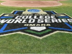 cws logo