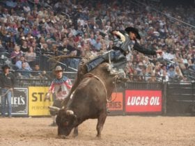 PBR