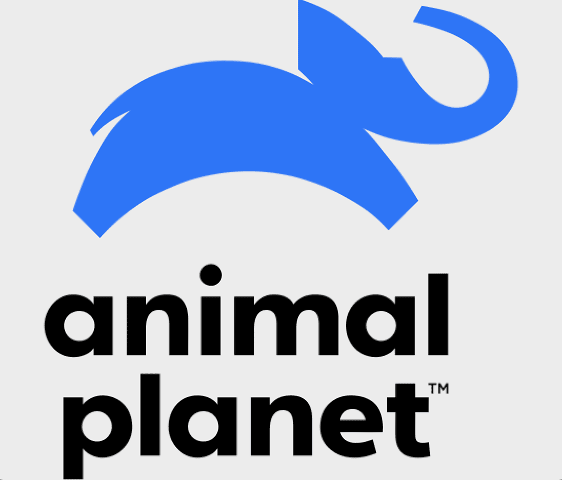 screen-shot-2019-04-11-at-9-59-07-am