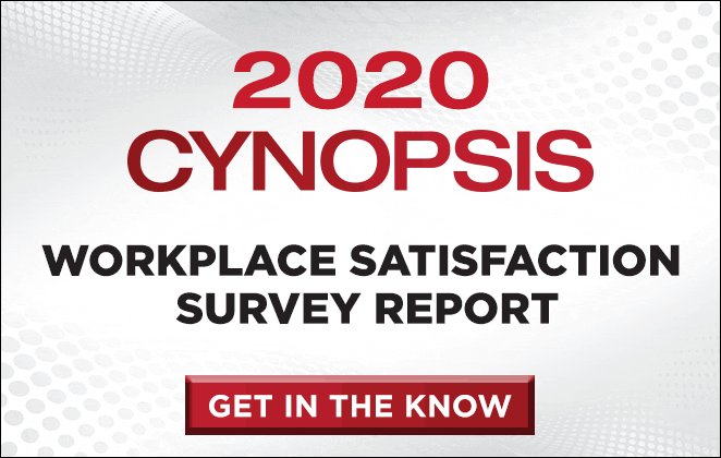 36915_cyn-survey-report-banners_662x420