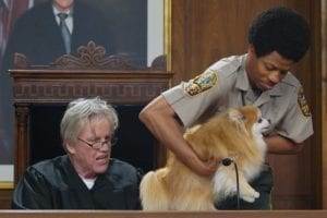 Gary Busey: Pet Judge drops May 25