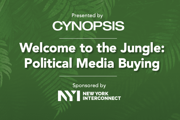 Welcome to the Jungle: Political Media Buying