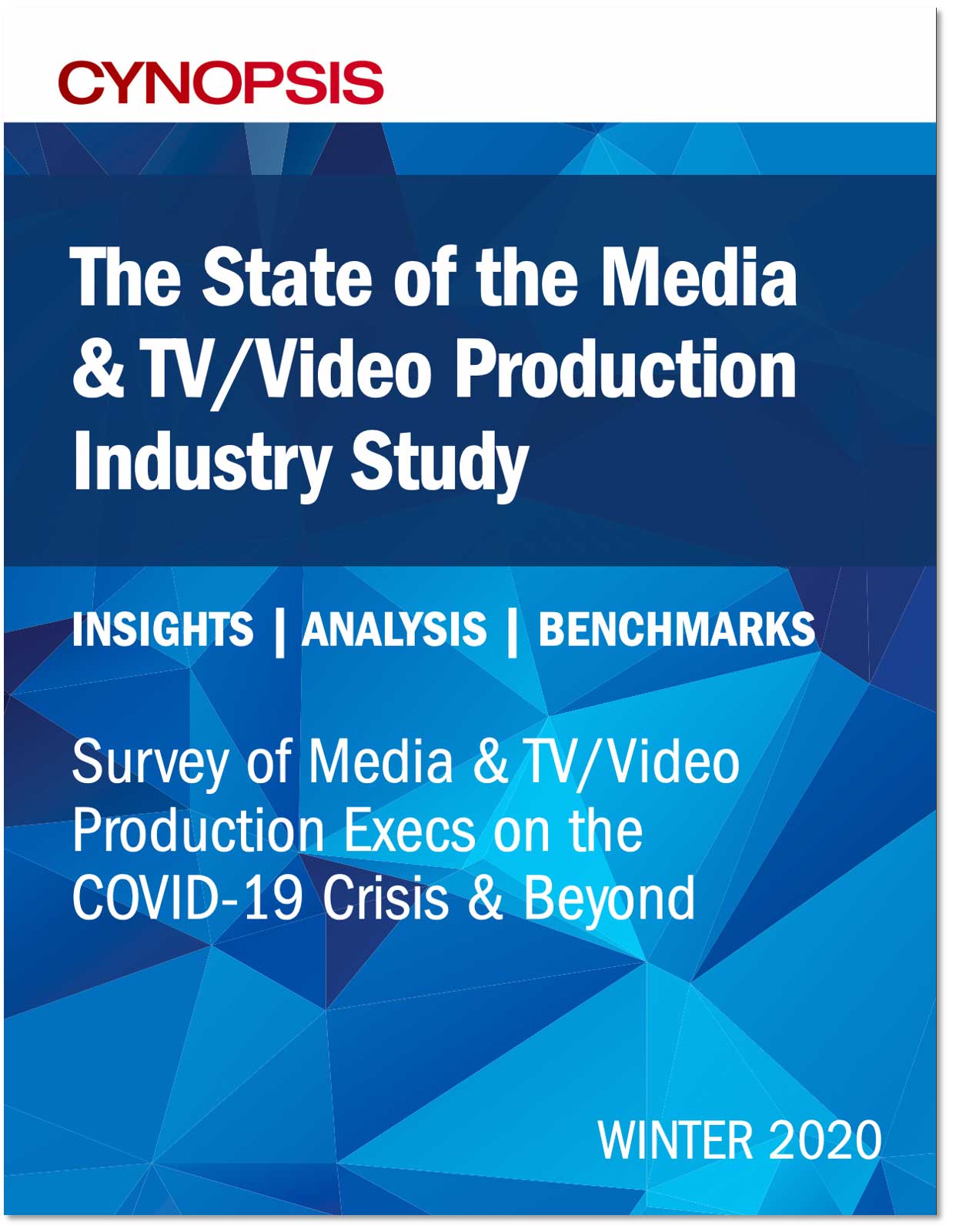 cyn-imageshadow_state-of-industry-survey_winter-2020