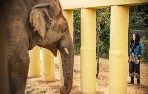 Cher goes on a BIG rescue mission