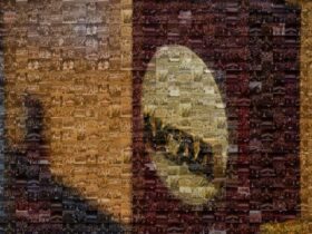 NCAA streamlines constitution