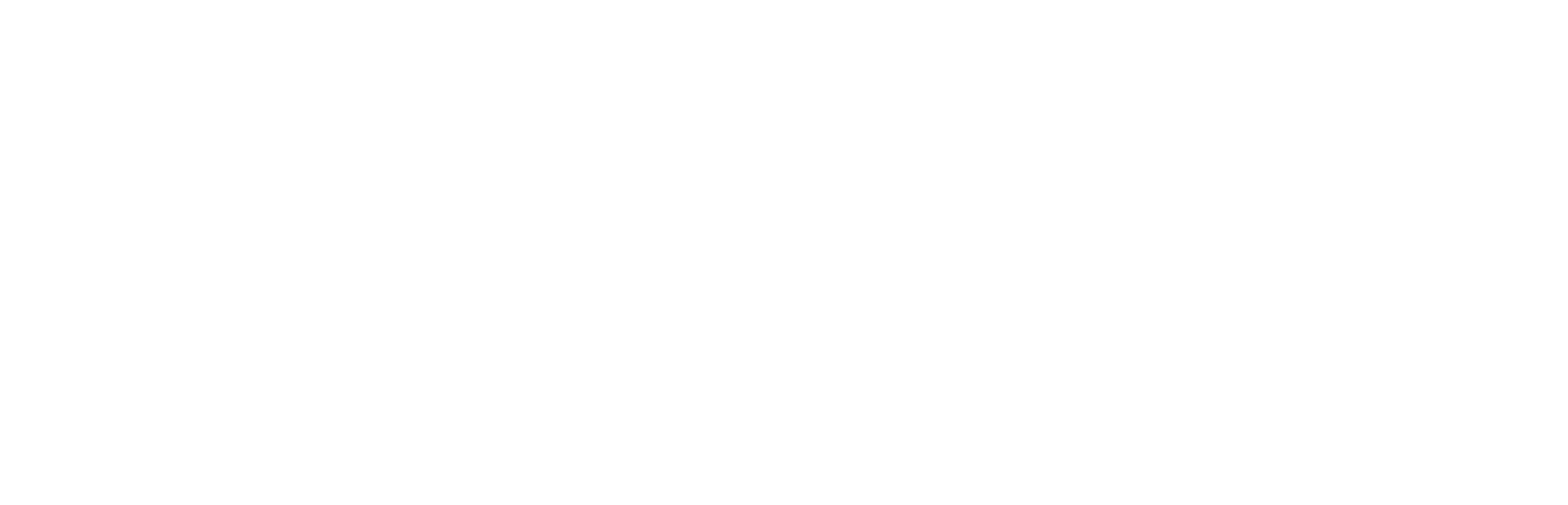 Nexstar Digital Final Logo_white_large (1)