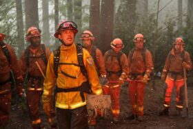 CBS renews season's three hottest new shows