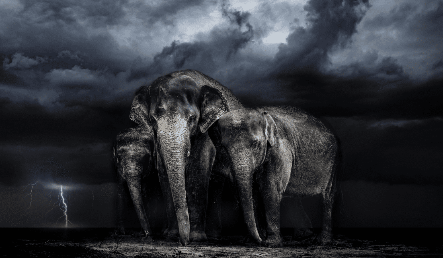 Screen Shot 2021-11-03 at 8.32.54 AM