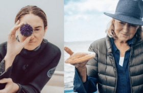 Shailene Woodley and Martha Stewart onboard David E. Kelley docuseries