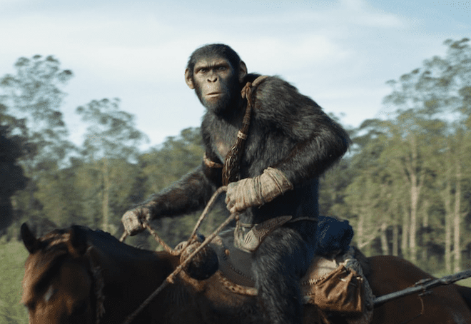 kingdom of the planet of the apes