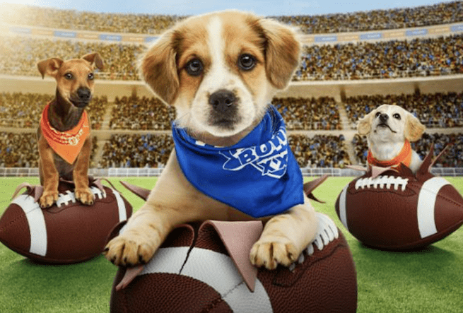 puppy bowl