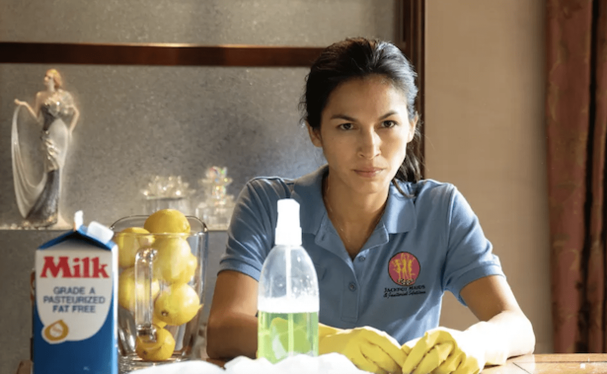 cleaning lady