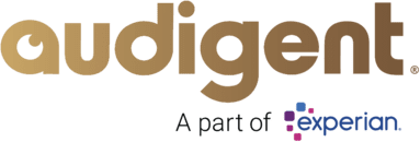 Audigent (a part of Experian)