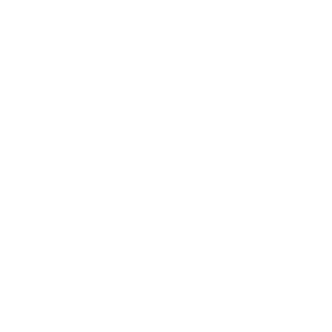 46136 CYN Icons for Key Themes_ClosingAbility_KO