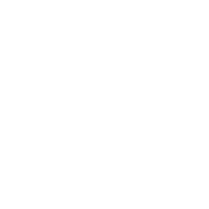 46136 CYN Icons for Key Themes_Privacy_KO