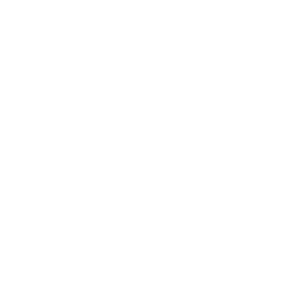 46136 CYN Icons for Key Themes_Sales_KO