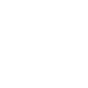 46136 CYN Icons for Key Themes_Sports_KO